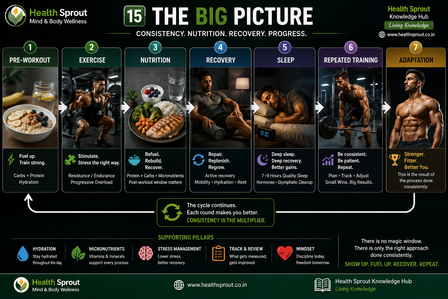 The Big Picture: the recovery process from pre-workout nutrition through adaptation