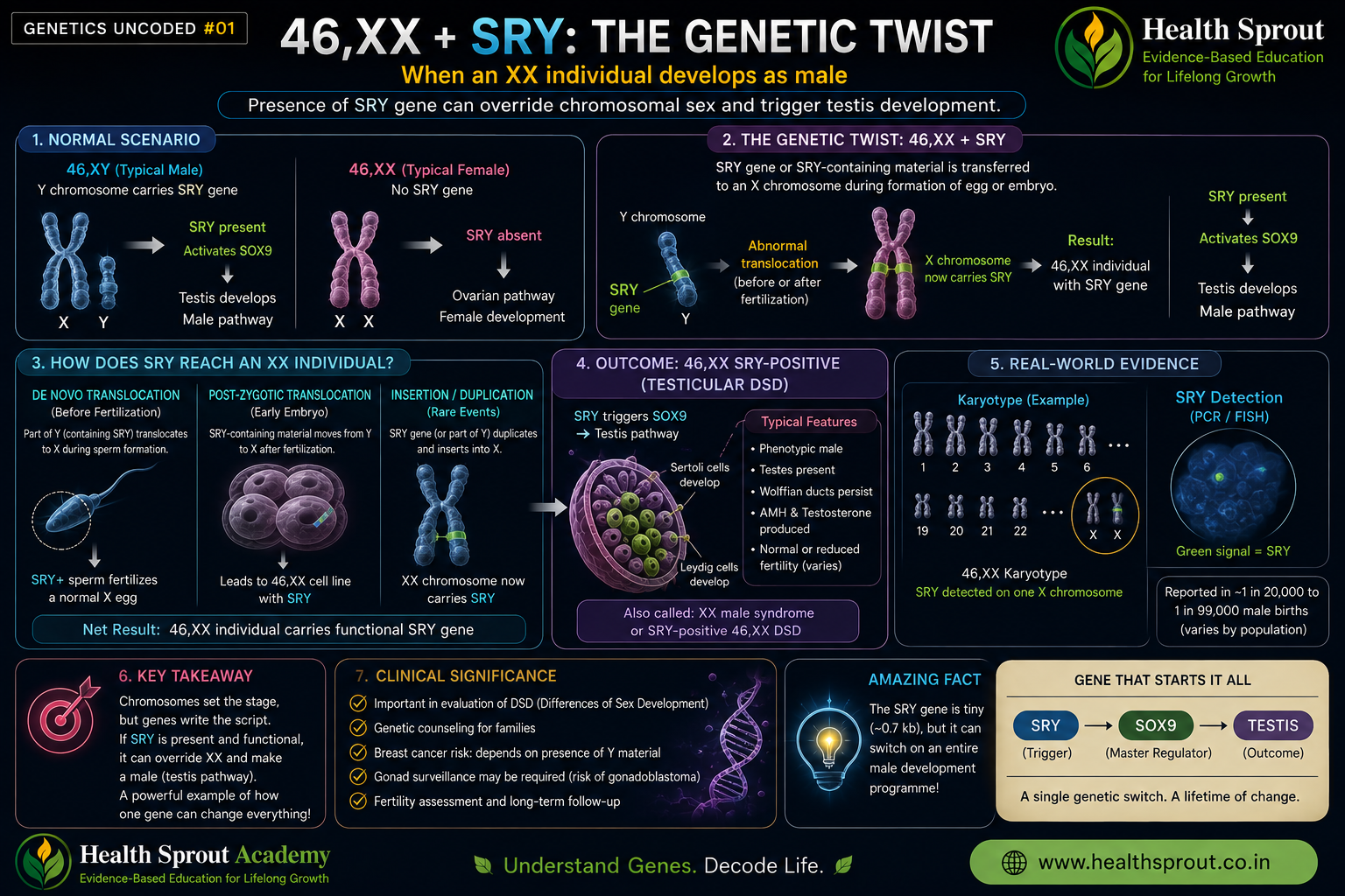 46,XX with SRY genetic twist