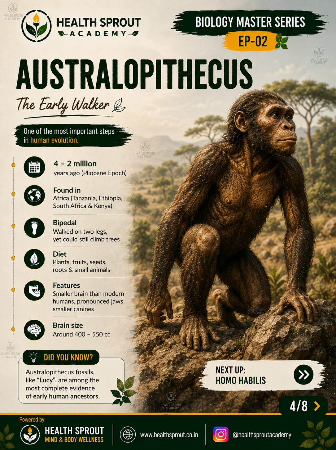 Australopithecus — Health Sprout Academy Biology Master Series
