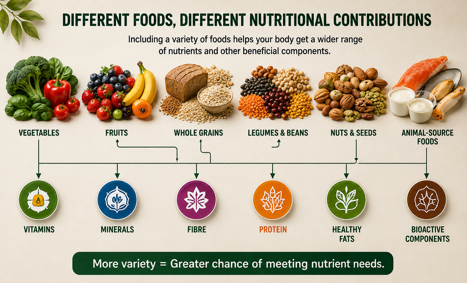 Different foods can make different nutritional contributions