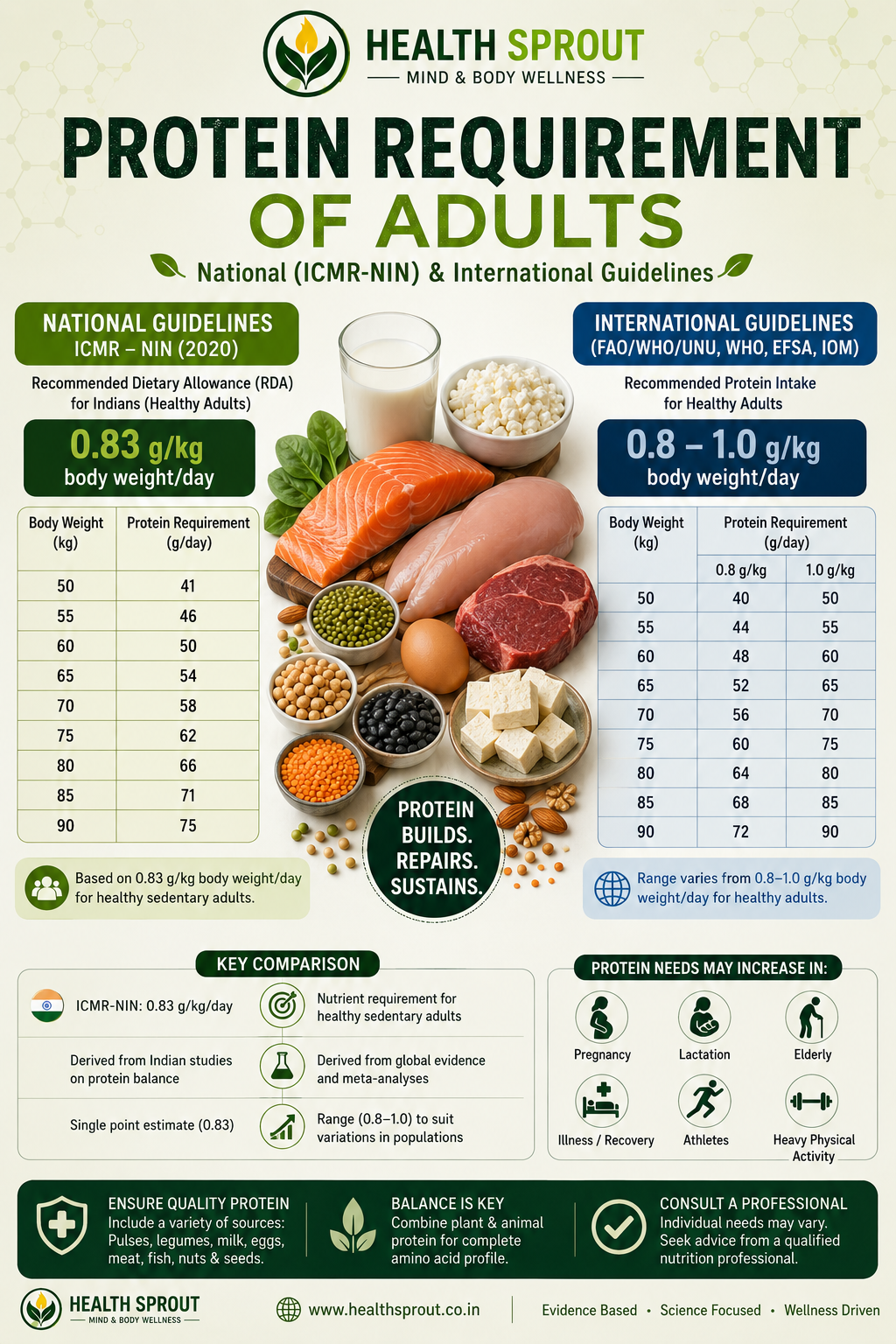 Protein Requirement of Adults — ICMR-NIN and International Guidelines