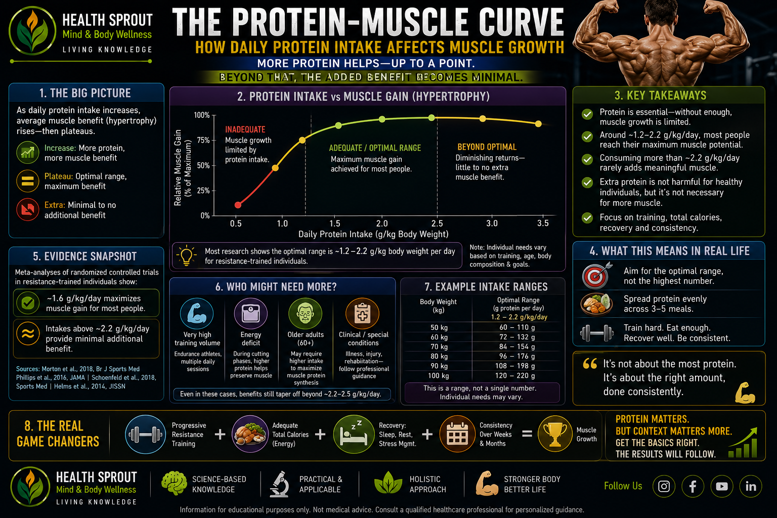 Protein intake versus muscle gain curve