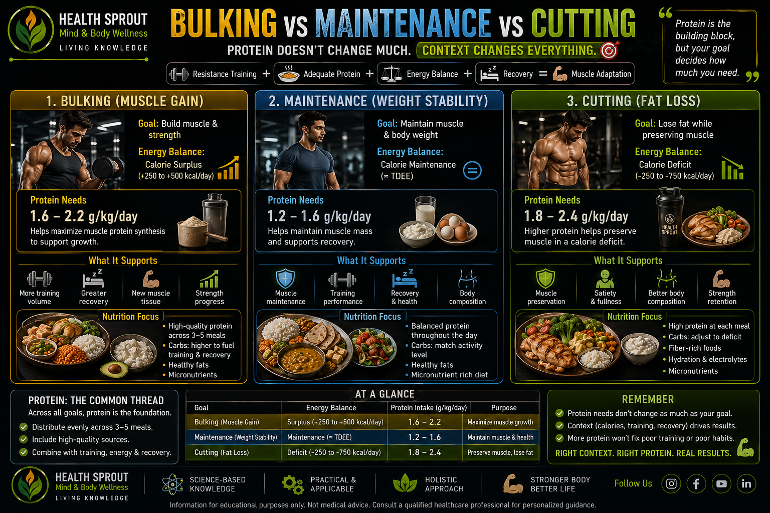 Bulking versus maintenance versus cutting protein context