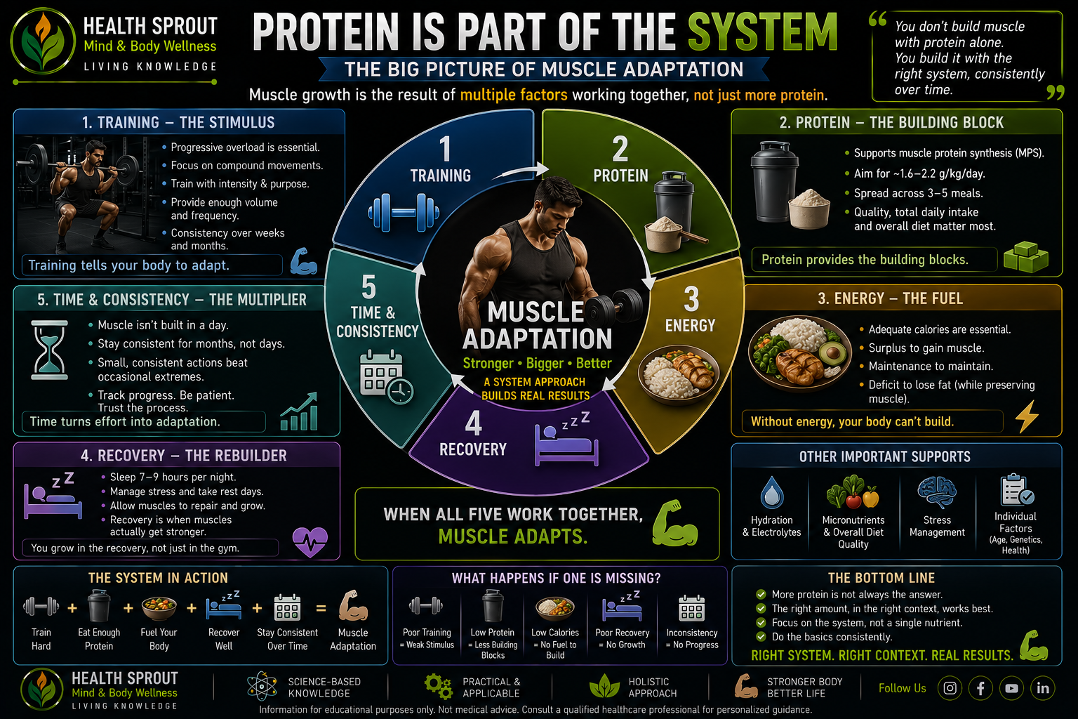 Protein is part of the system: training, protein, energy, recovery and time