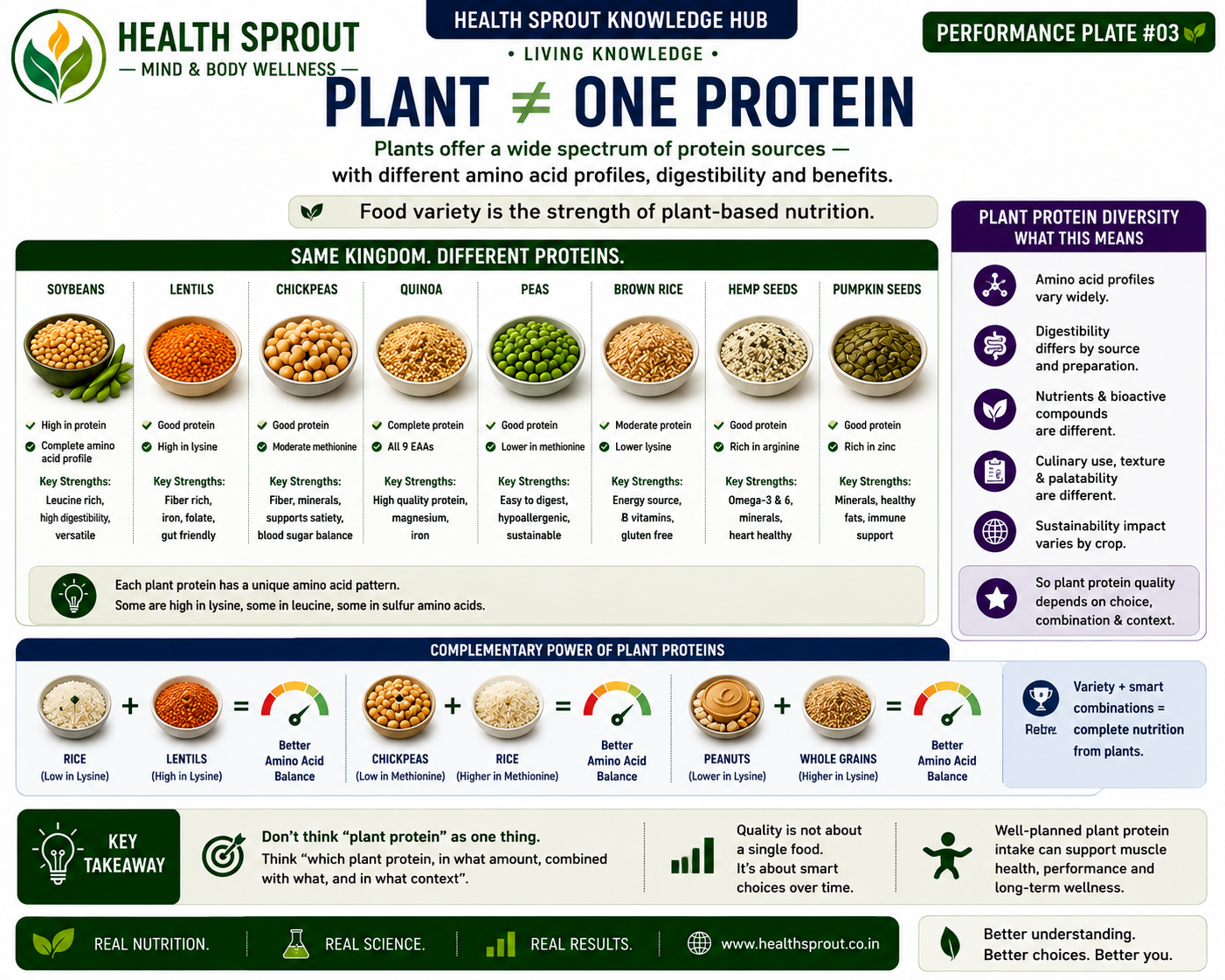 Plant Protein &mdash; Performance Plate #03