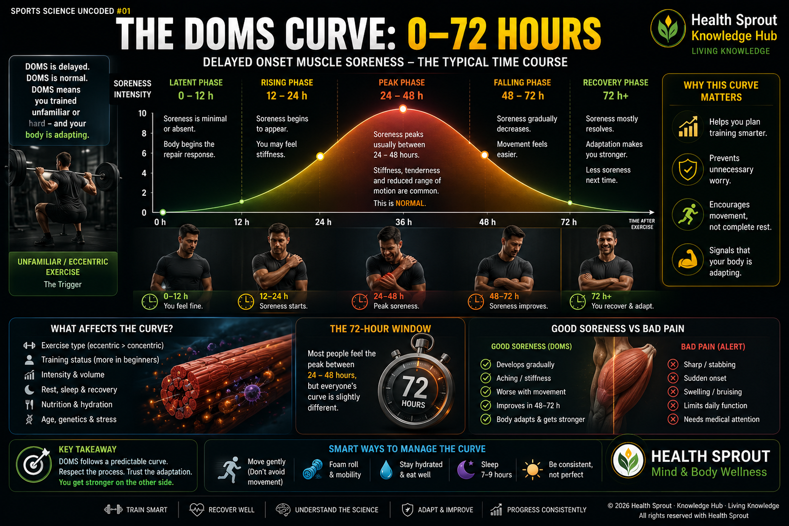 Conceptual DOMS curve across 0 to 72 hours