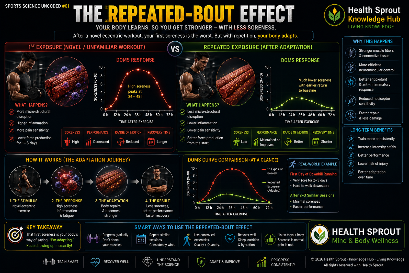 Conceptual repeated-bout effect showing less soreness after a second similar bout